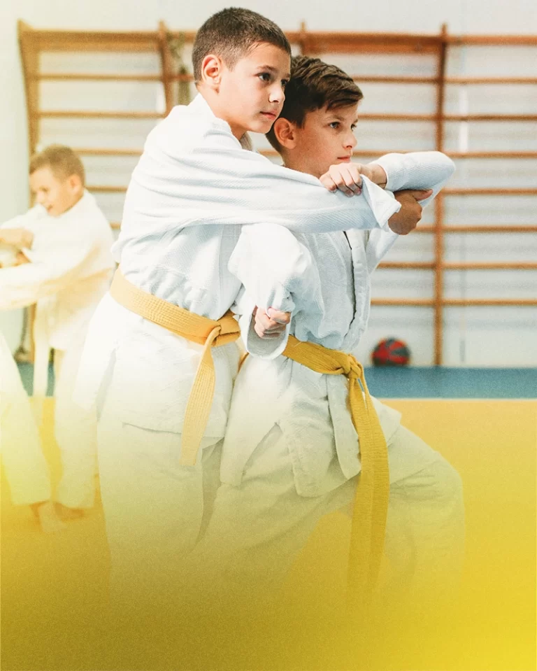 1RMFit - Academia de Lutas - Jiu-Jitsu, Boxe, Funcional em Águas Claras - Judo Kids - modalidade